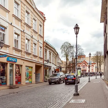 Eu's Smallest In Historic Old Town For Adventure Seekers With Free Parking 维尔纽斯